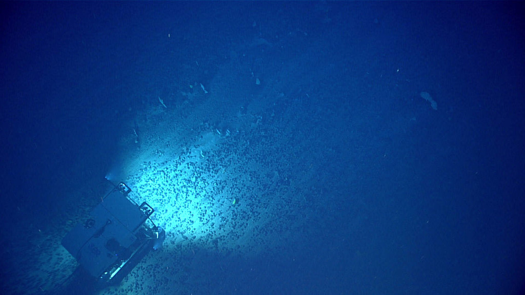 A remotely operated vehicle traverses over an extensive field of ferromanganese nodules that formed the bulk of the hard seafloor substrate in the North Atlantic in 2021.
